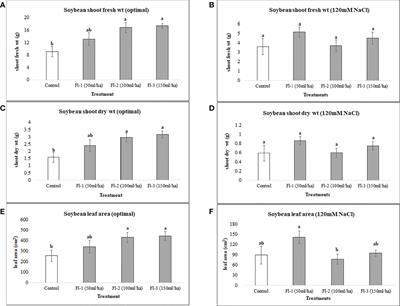 Flavonoids and Devosia sp SL43 cell-free supernatant increase early plant growth under salt stress and optimal growth conditions